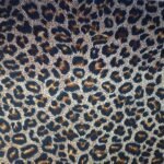 Microfibra poliamida estampada para lingerie, com toque macio e alta elasticidade.