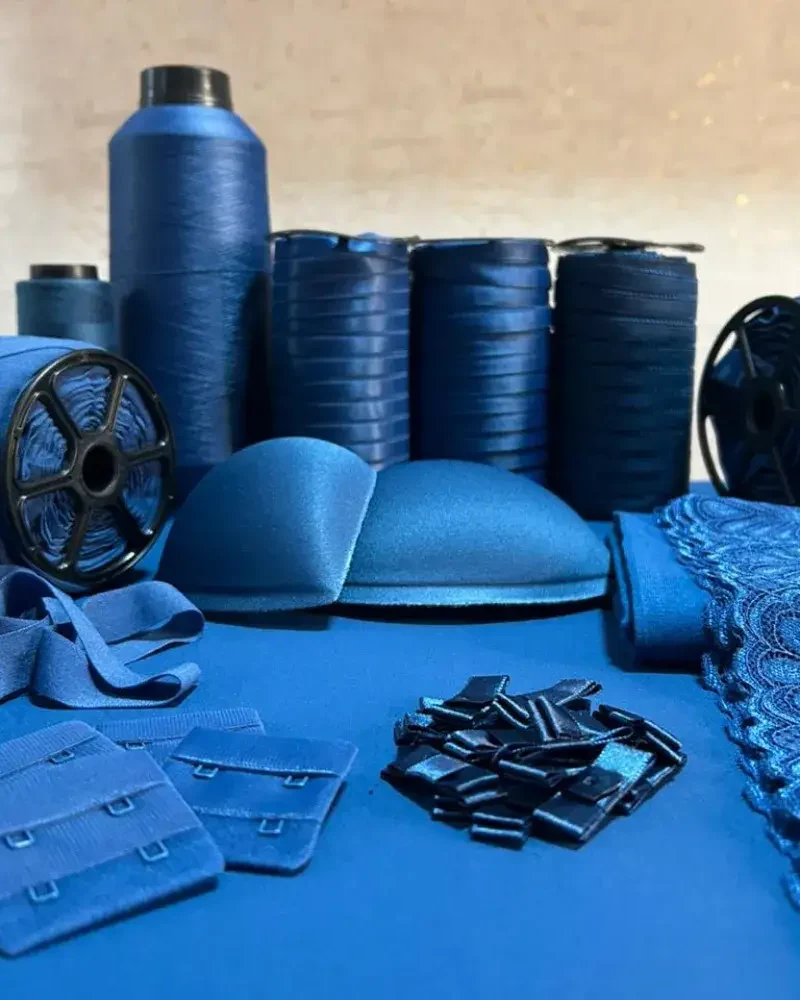 Kit Fabricação de Lingerie Tâmisa nas novas cores da Evelin Tecidos e Aviamentos, com materiais completos para confecção de peças íntimas.